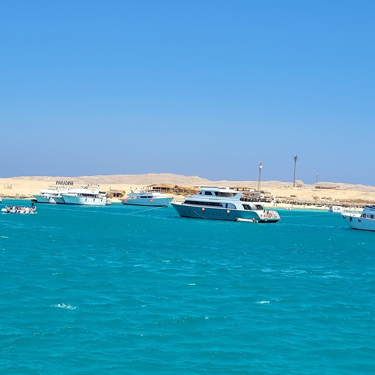 Venecia Red Sea